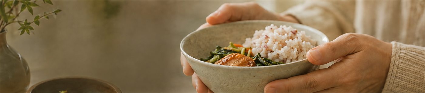 한 그릇